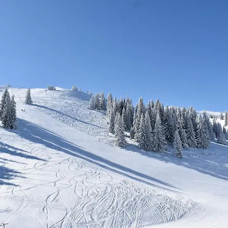 Winter Διαμέρισμα