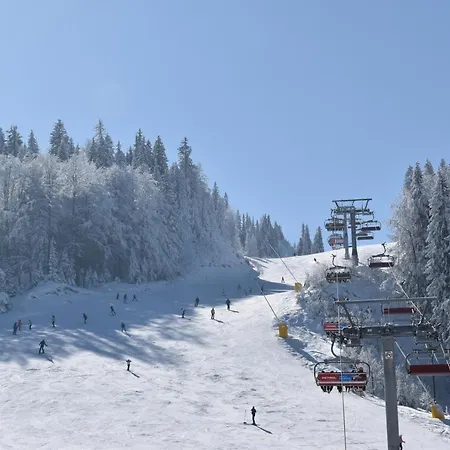 Winter * Τζαχορίνα