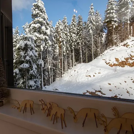 Winter 公寓 亚霍里纳